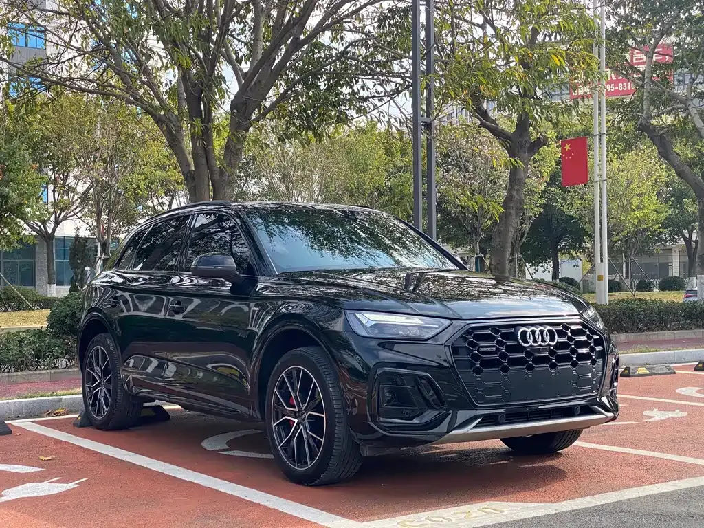 Audi Q5L 2024 из CN, фото 10