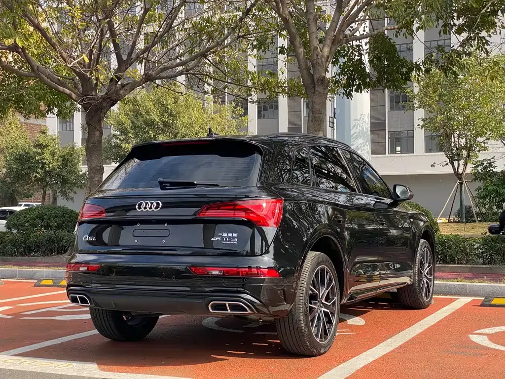 Audi Q5L 2024 из CN, фото 6