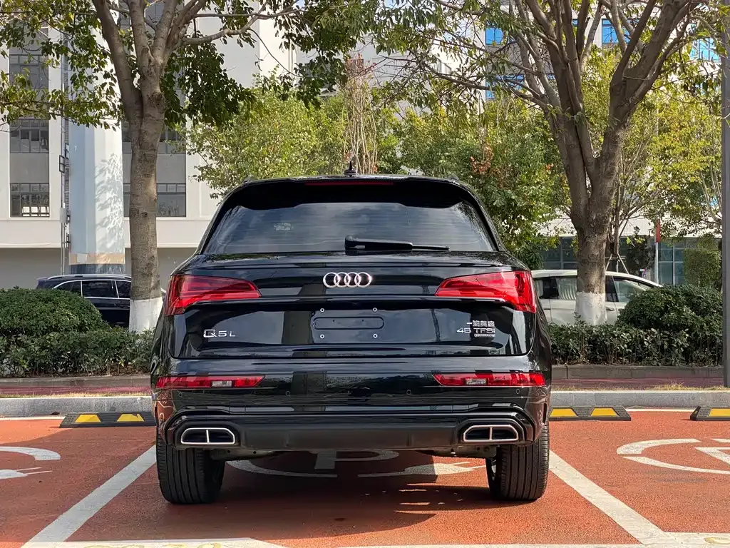 Audi Q5L 2024 из CN, фото 7