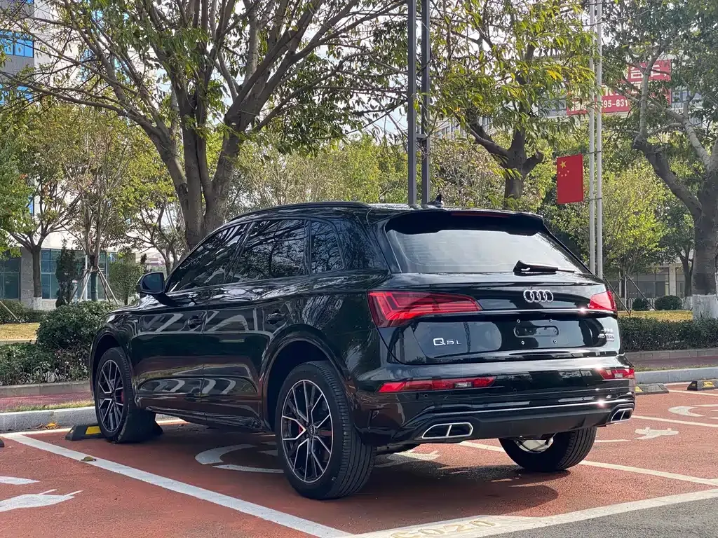 Audi Q5L 2024 из CN, фото 9