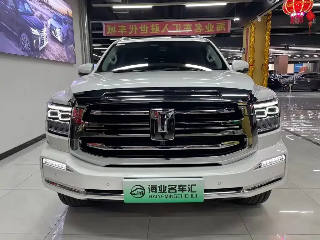Tank 500 New Energy 2025 из CN, фото 6