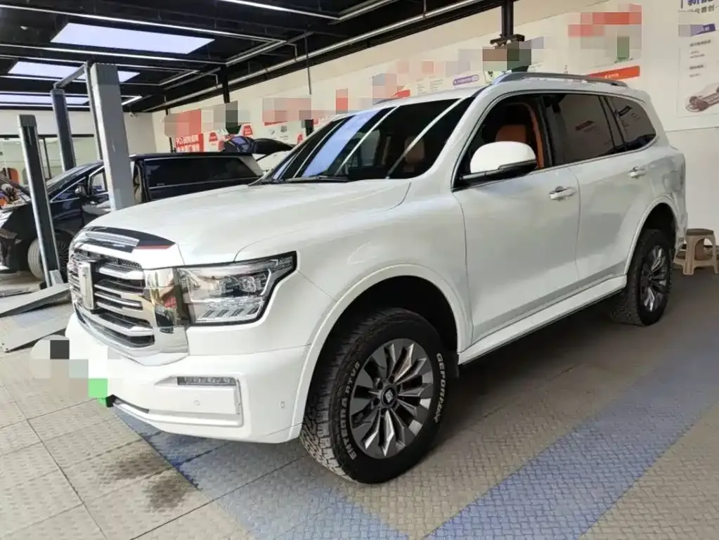 Tank 500 New Energy 2025 из CN, фото 1