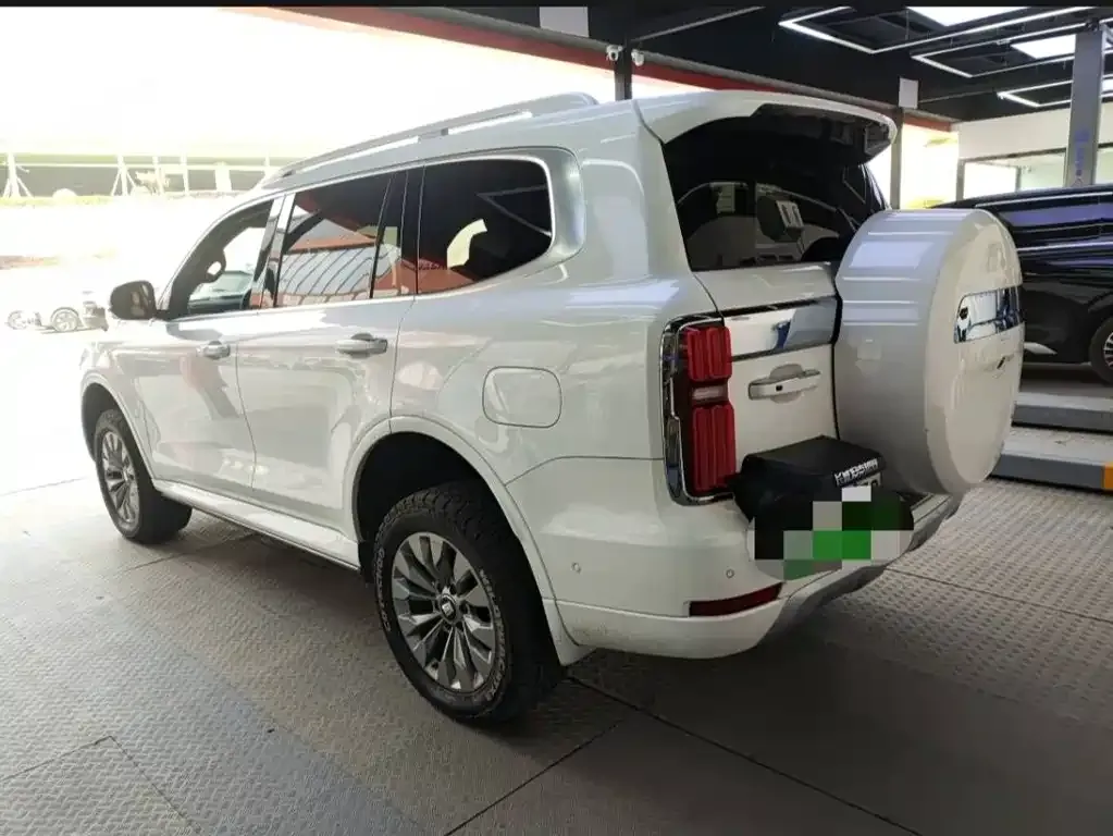 Tank 500 New Energy 2025 из CN, фото 8