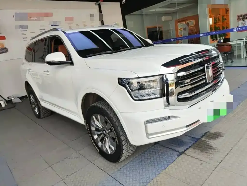 Tank 500 New Energy 2025 из CN, фото 9