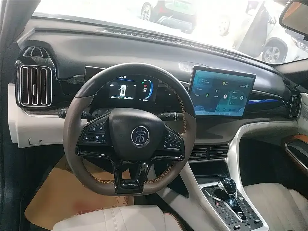 BYD Pro New Energy 2023 из CN, фото 10