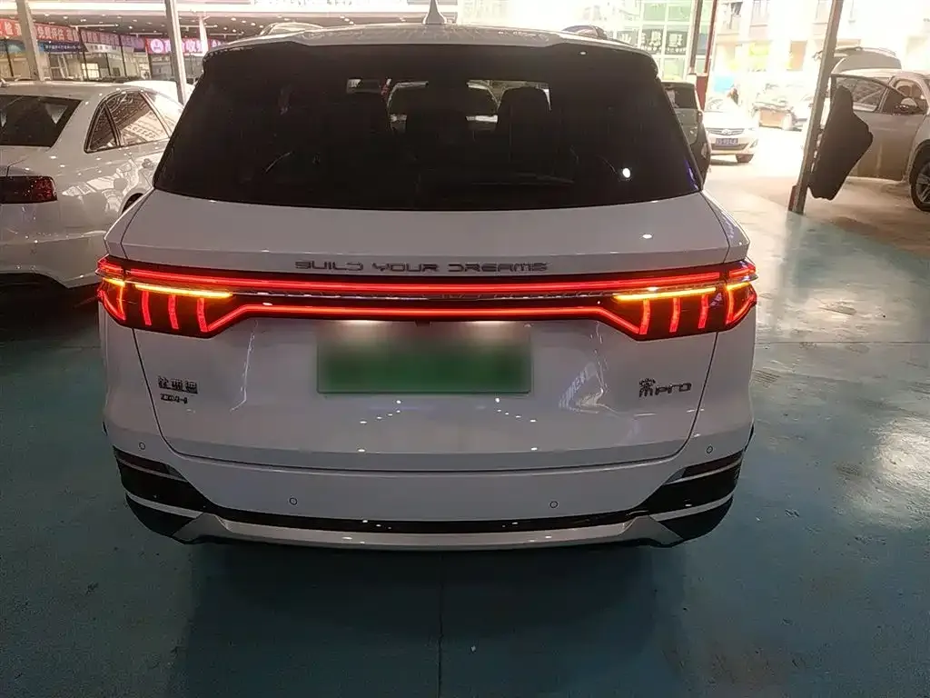 BYD Pro New Energy 2023 из CN, фото 9