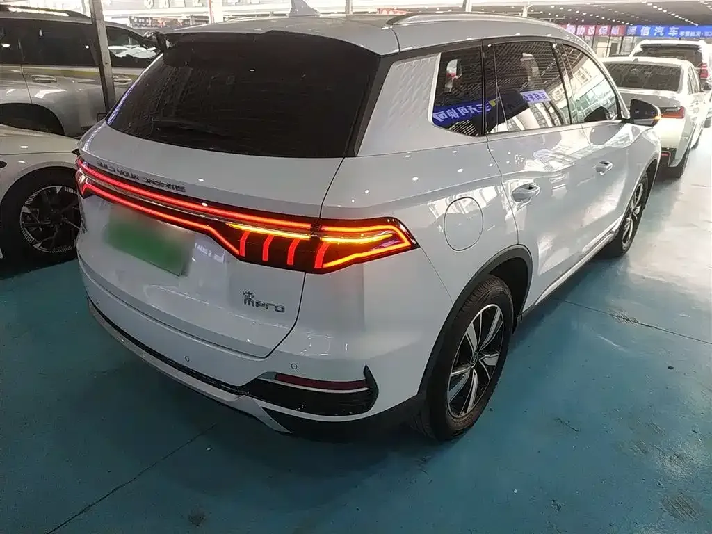 BYD Pro New Energy 2023 из CN, фото 2