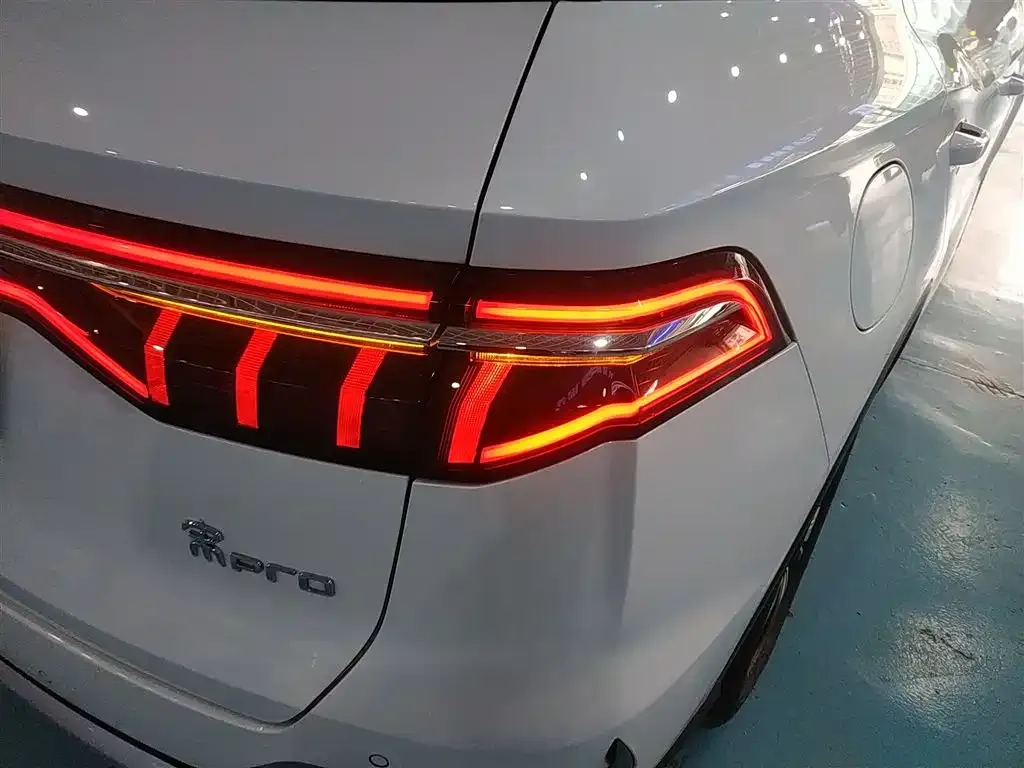 BYD Pro New Energy 2023 из CN, фото 5