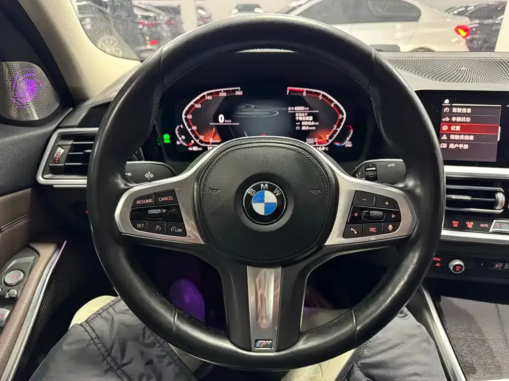 BMW 3 Series 2021 из CN, фото 7
