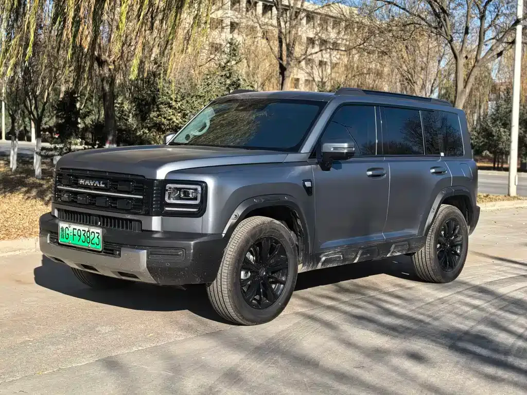 Haval Menglong New Energy 2025 из CN, фото 1