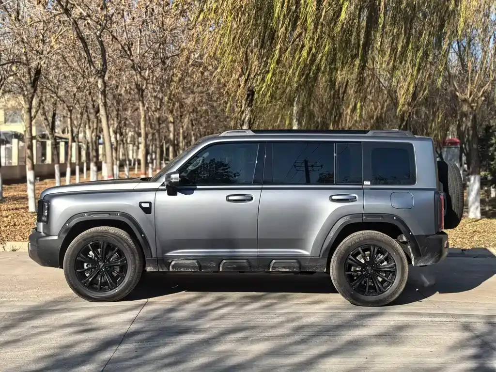 Haval Menglong New Energy 2025 из CN, фото 3