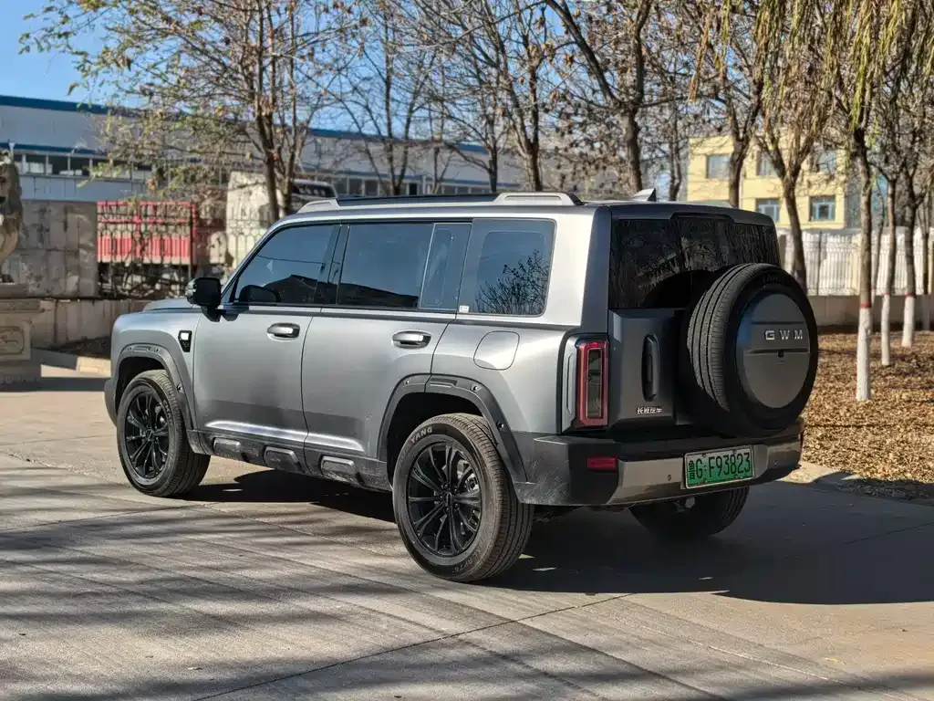 Haval Menglong New Energy 2025 из CN, фото 2