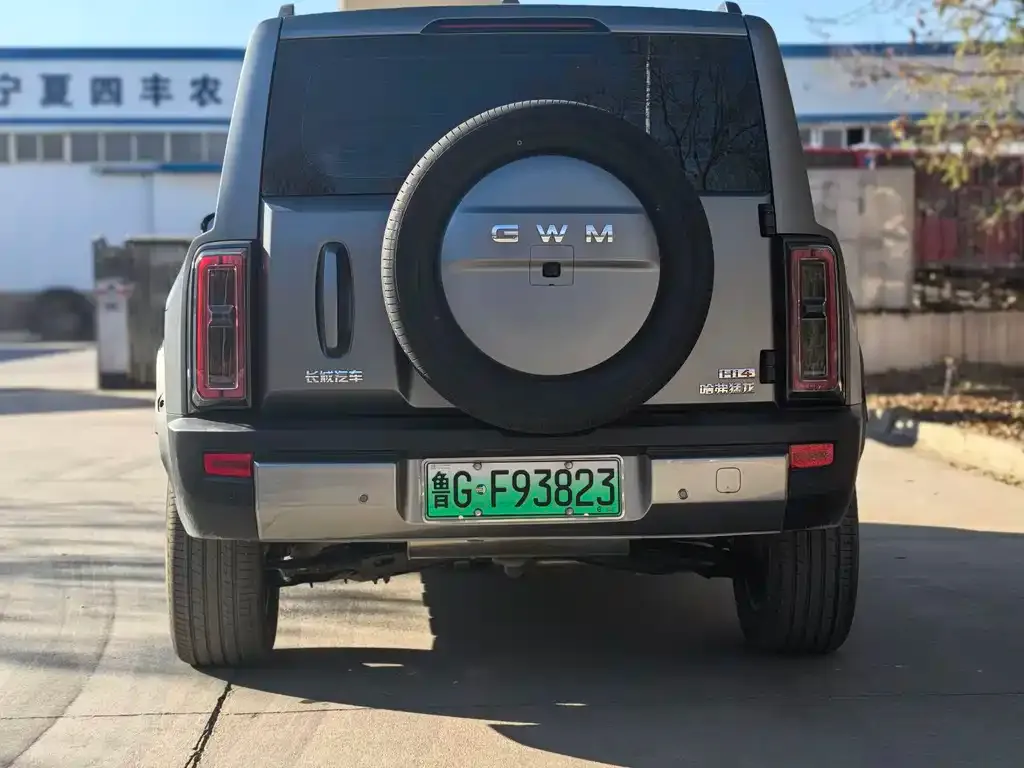 Haval Menglong New Energy 2025 из CN, фото 4