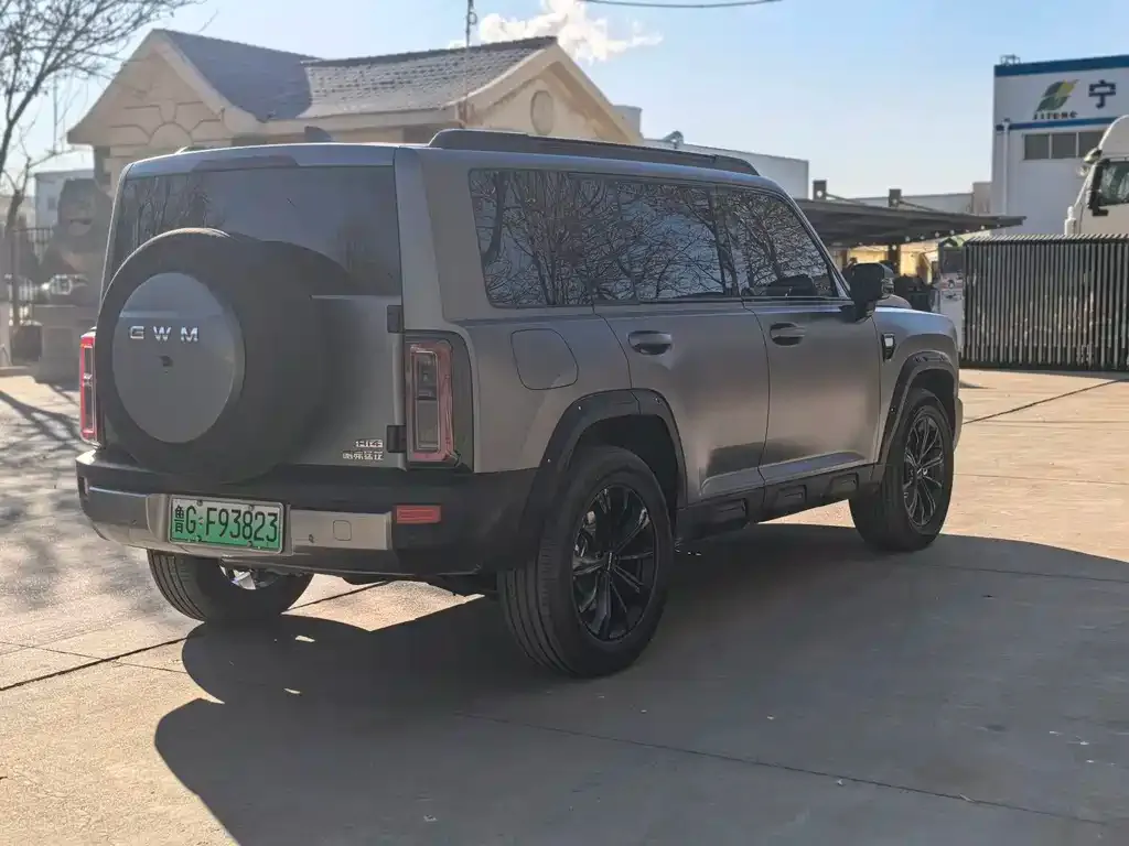 Haval Menglong New Energy 2025 из CN, фото 7