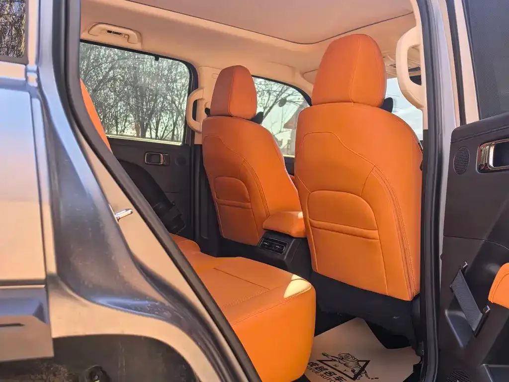 Haval Menglong New Energy 2025 из CN, фото 8