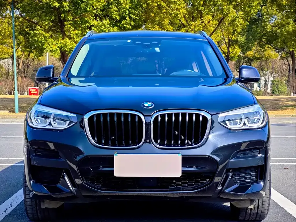 BMW X3 2021 из CN, фото 3