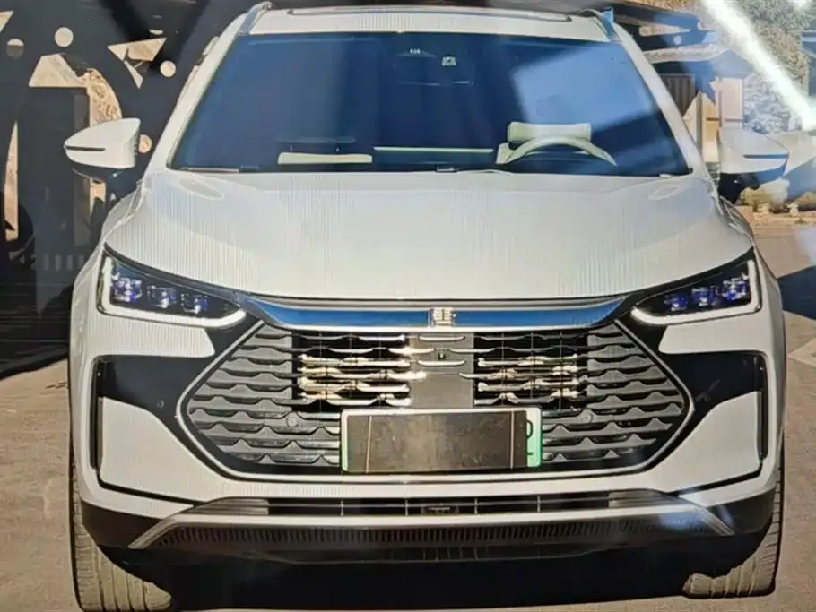BYD Tang New Energy 2024 из CN, фото 3