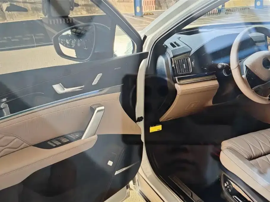 BYD Tang New Energy 2024 из CN, фото 9