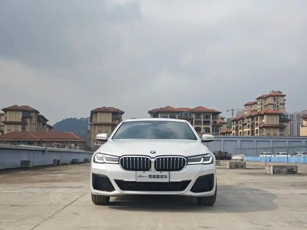 BMW 5 Series 2022 из CN, фото 5