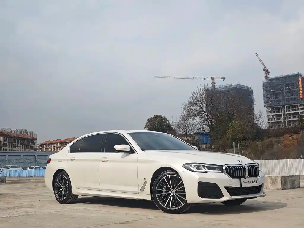 BMW 5 Series 2022 из CN, фото 4