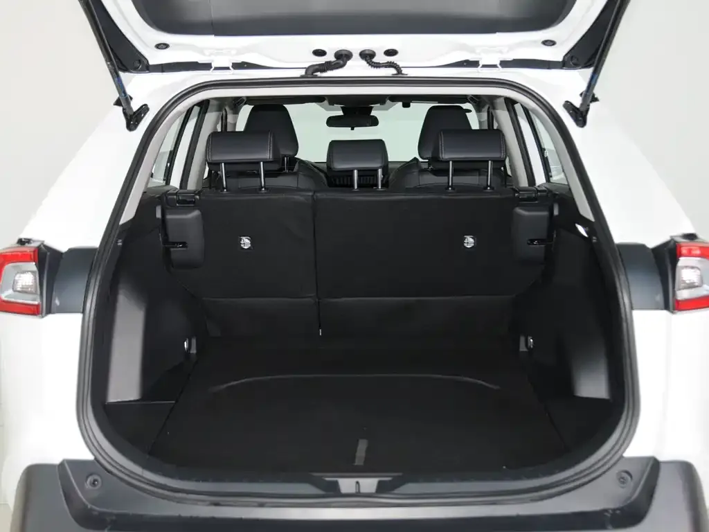 Toyota Wildlander 2023 из CN, фото 4
