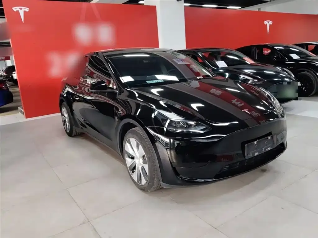 Tesla Model Y — фото 6