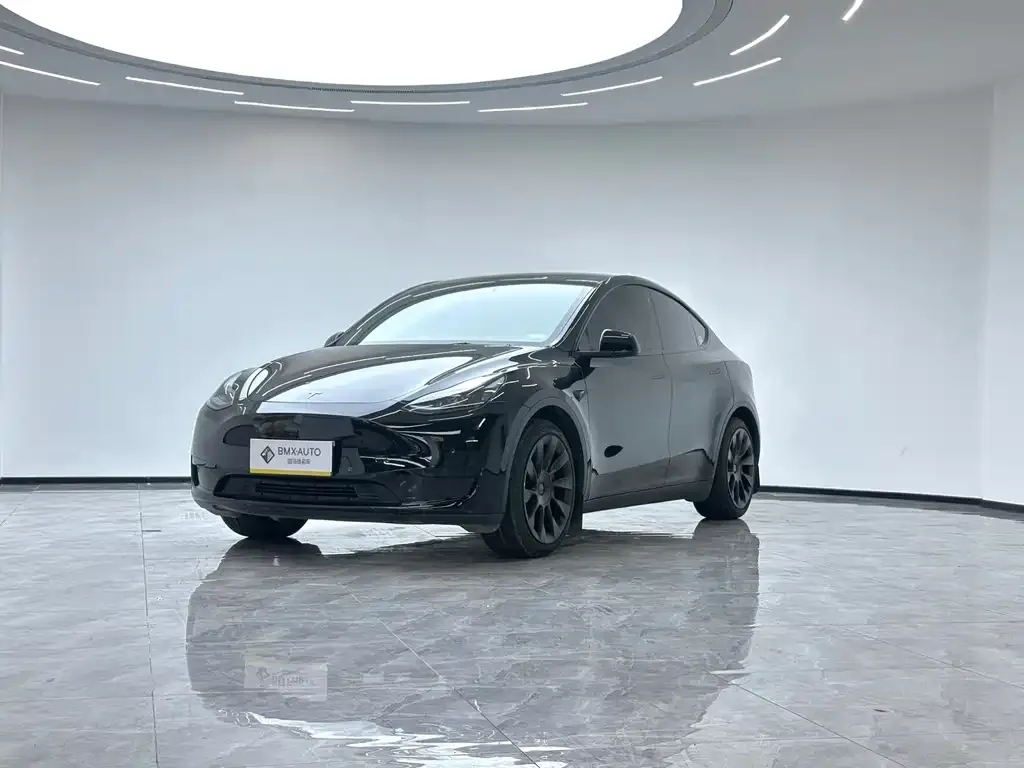 Tesla Model Y — фото 1