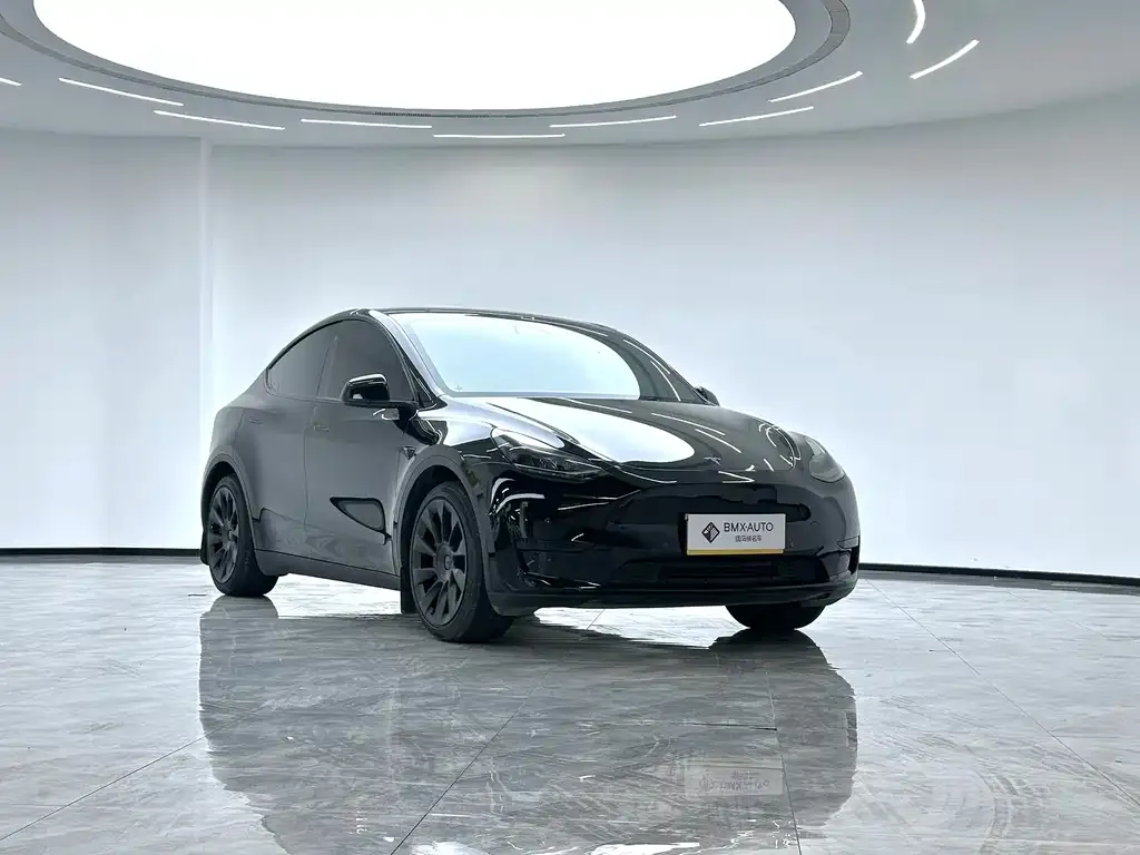 Tesla Model Y — фото 5