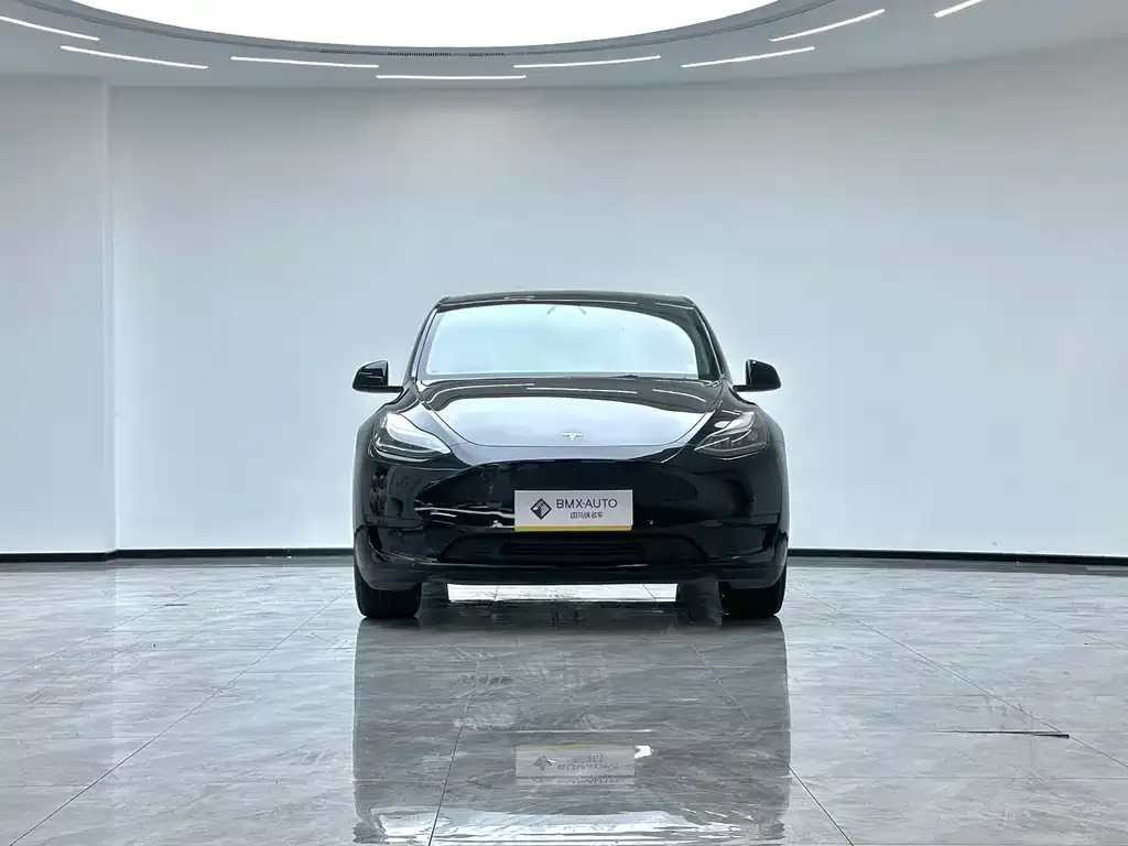 Tesla Model Y — фото 8
