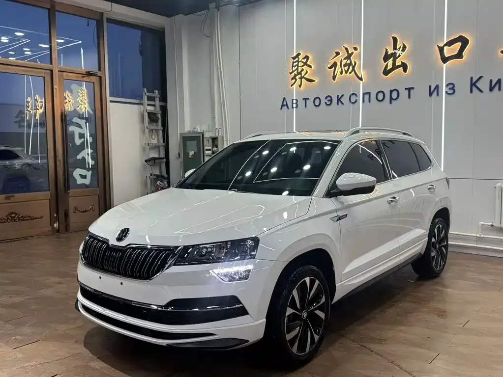Skoda Karoq 2022 из CN, фото 1