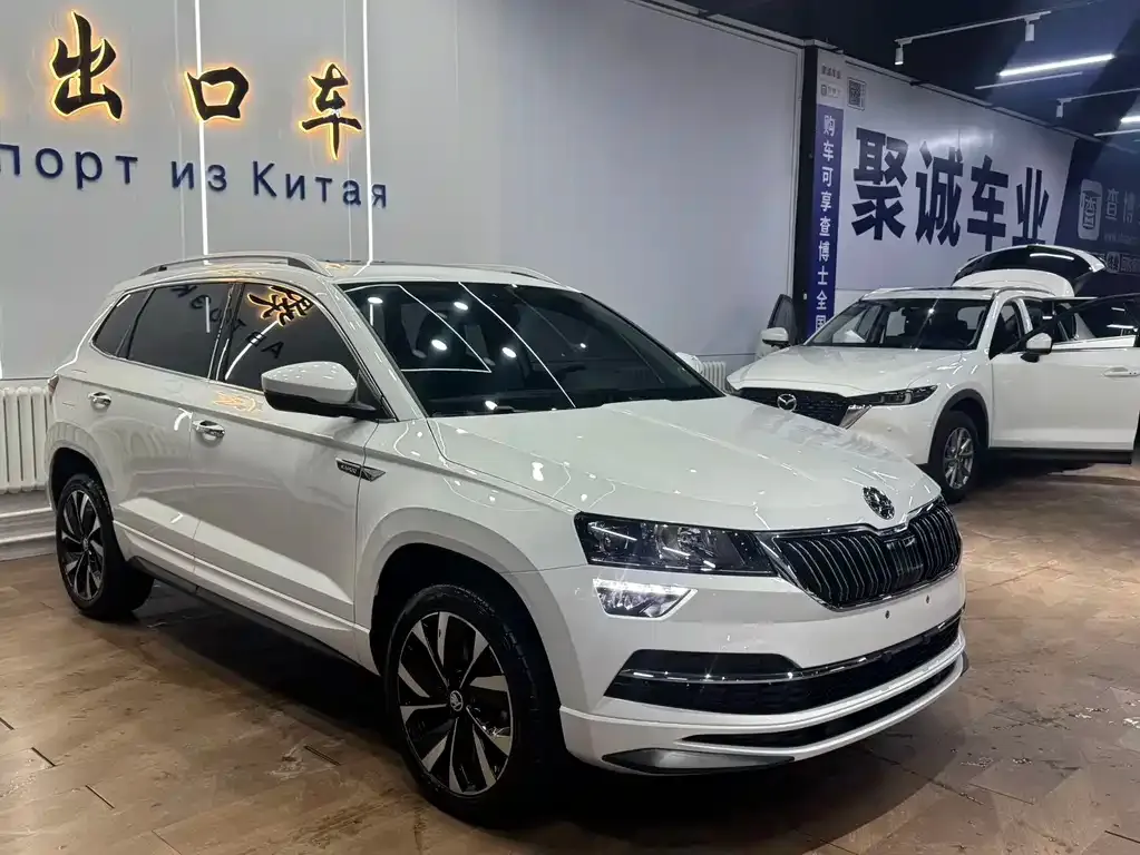 Skoda Karoq 2022 из CN, фото 9