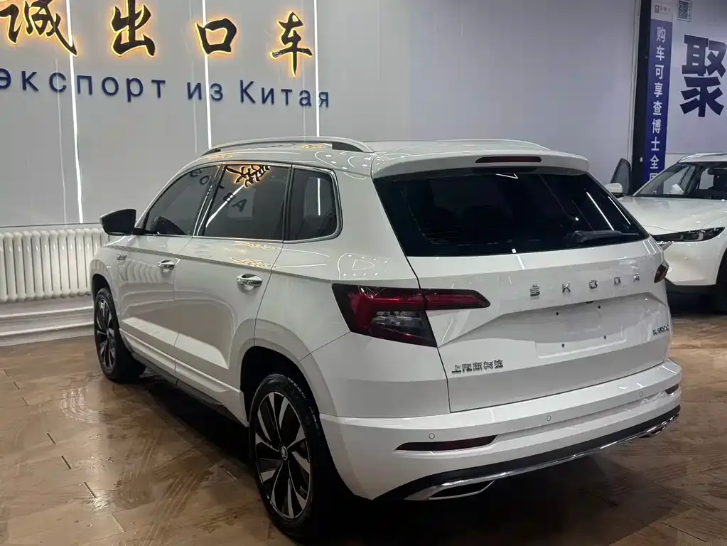 Skoda Karoq 2022 из CN, фото 3