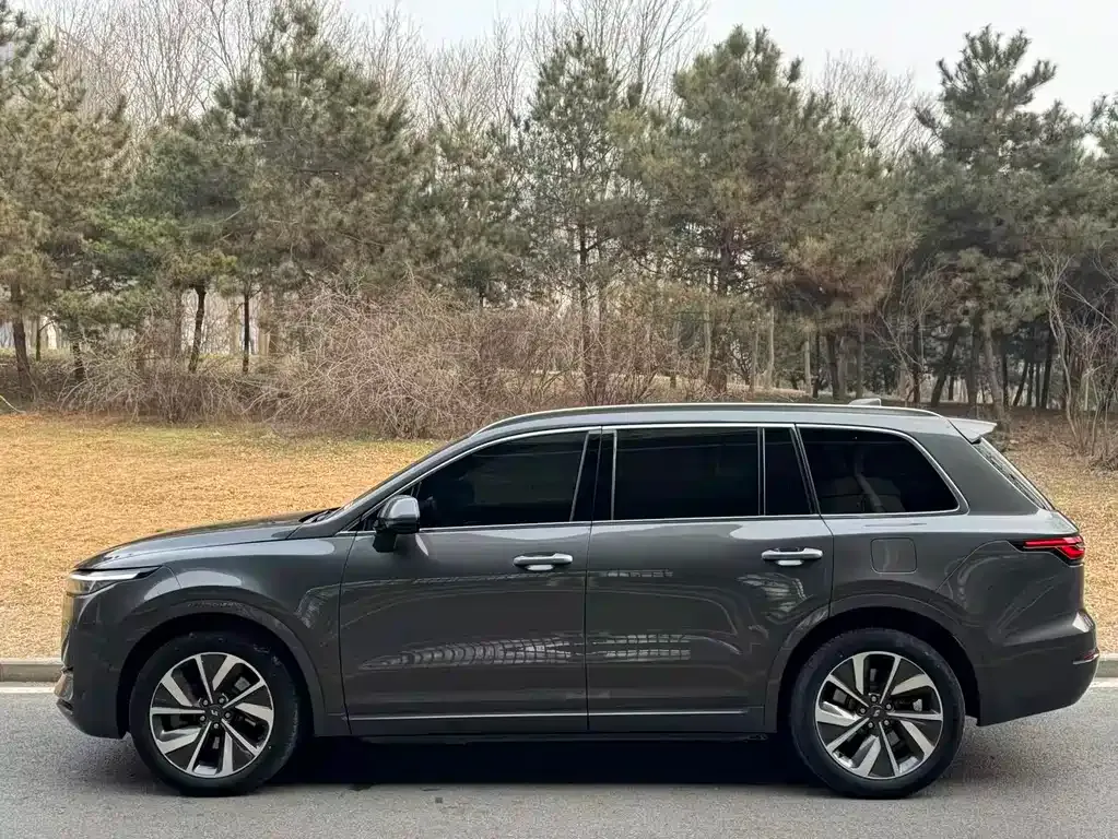 Li Auto ONE 2022 из CN, фото 9