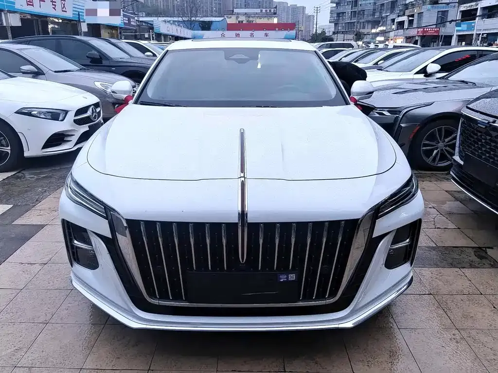Hongqi H5 2022 из CN, фото 9