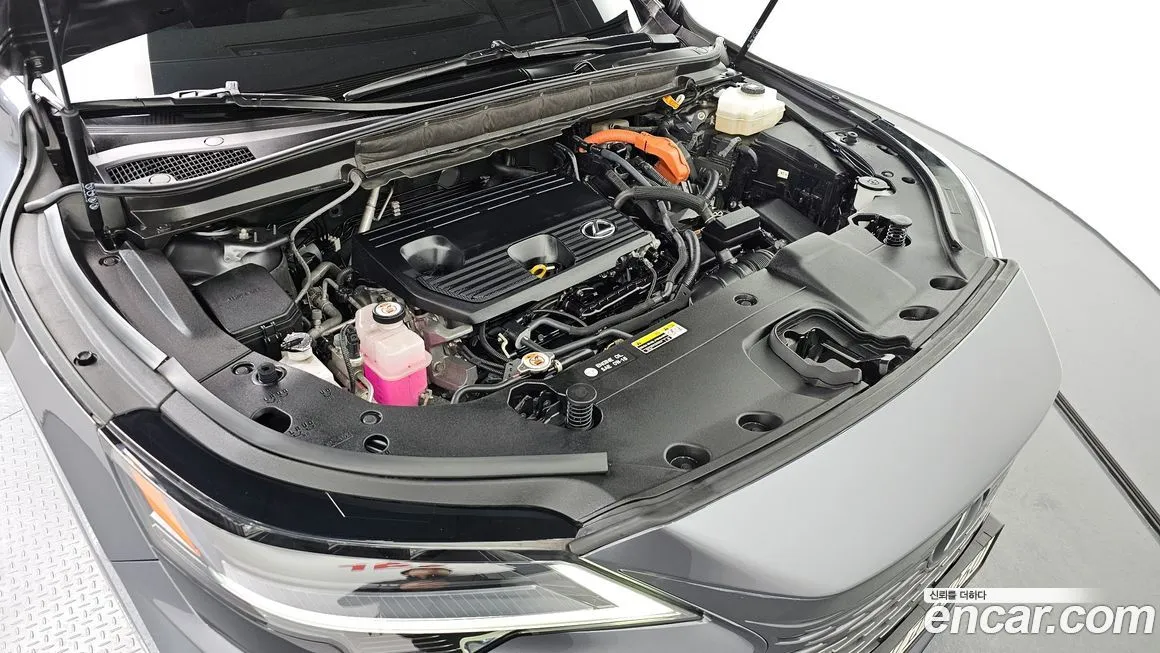 Lexus RX 2024 из KR, фото 10