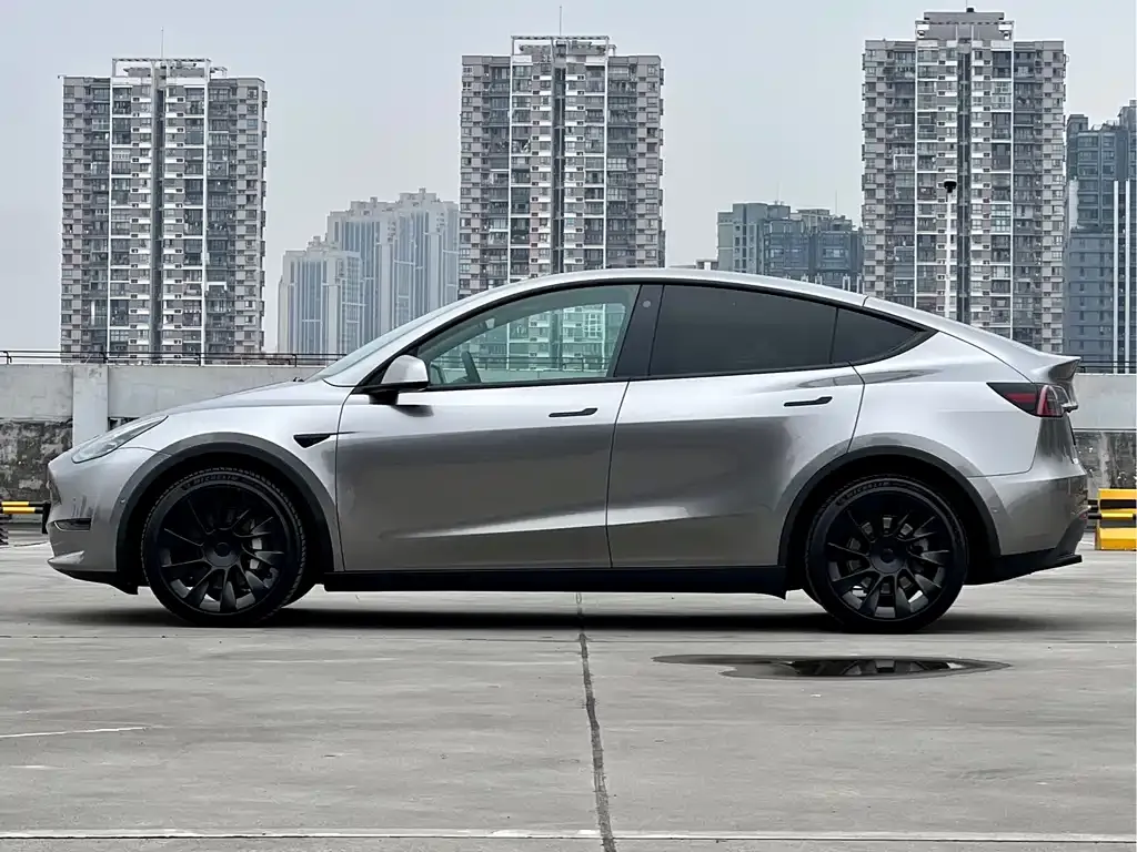 Tesla Model Y — фото 8