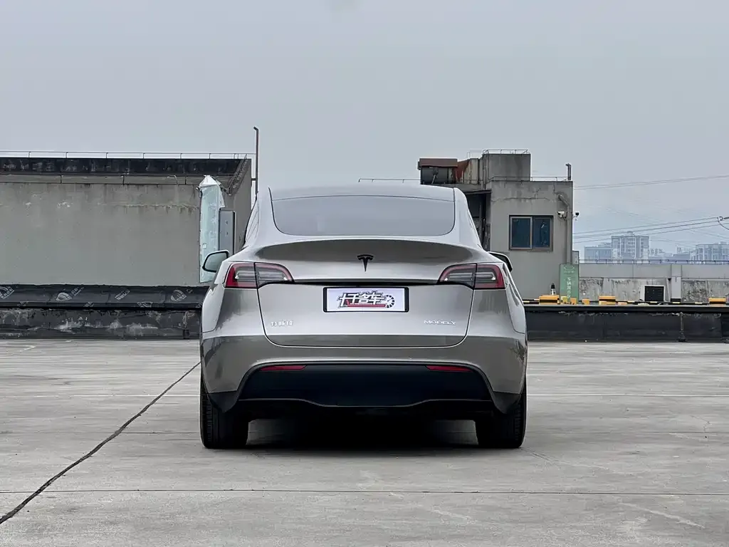 Tesla Model Y — фото 3