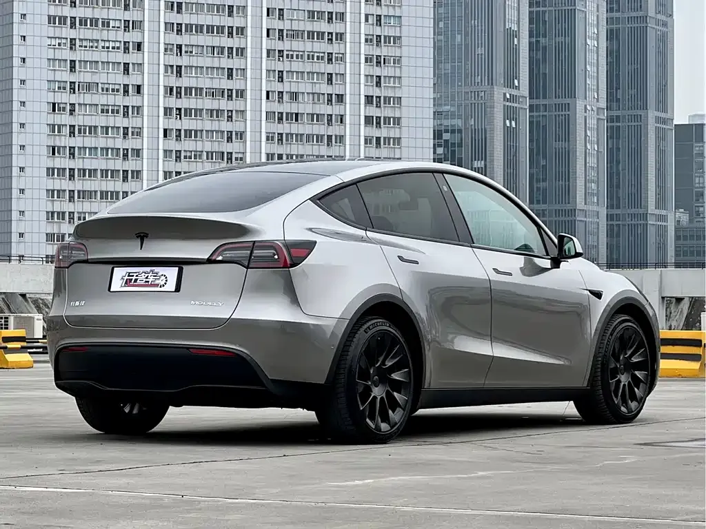 Tesla Model Y — фото 9