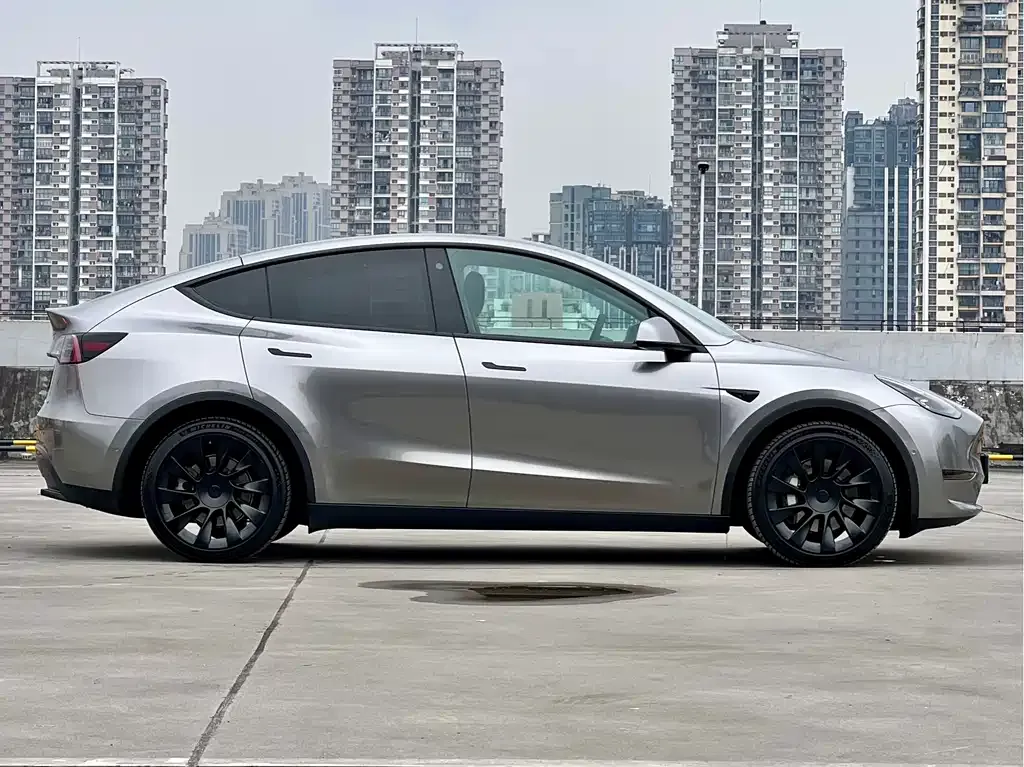 Tesla Model Y — фото 10