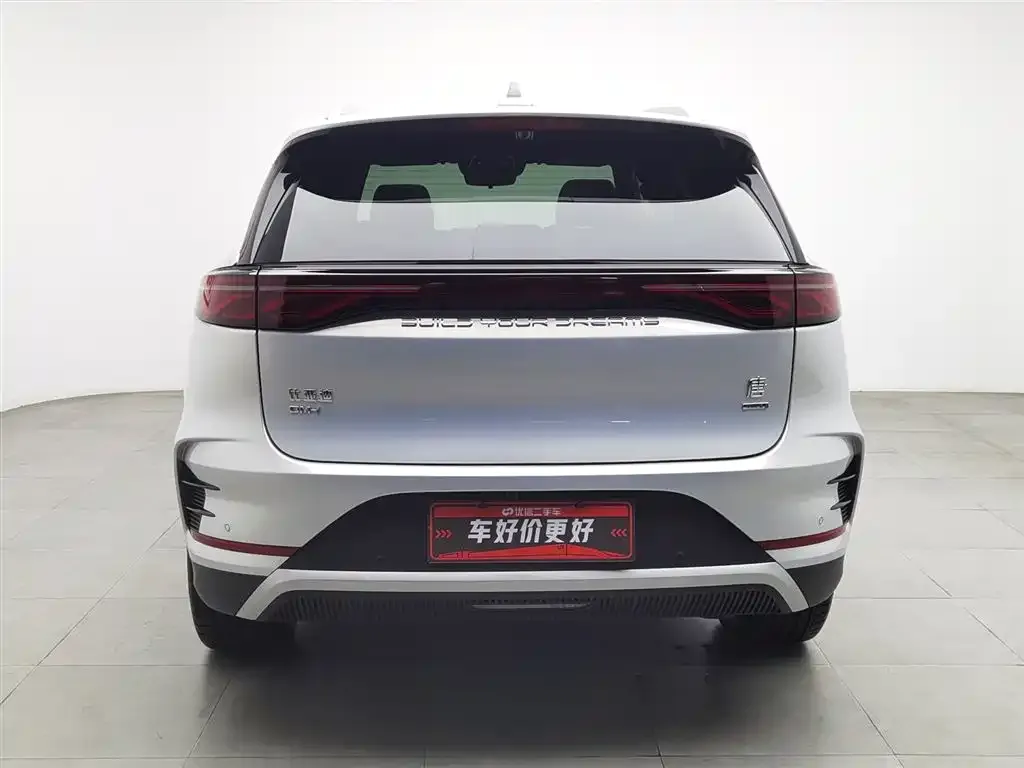 BYD Tang New Energy 2025 из CN, фото 4