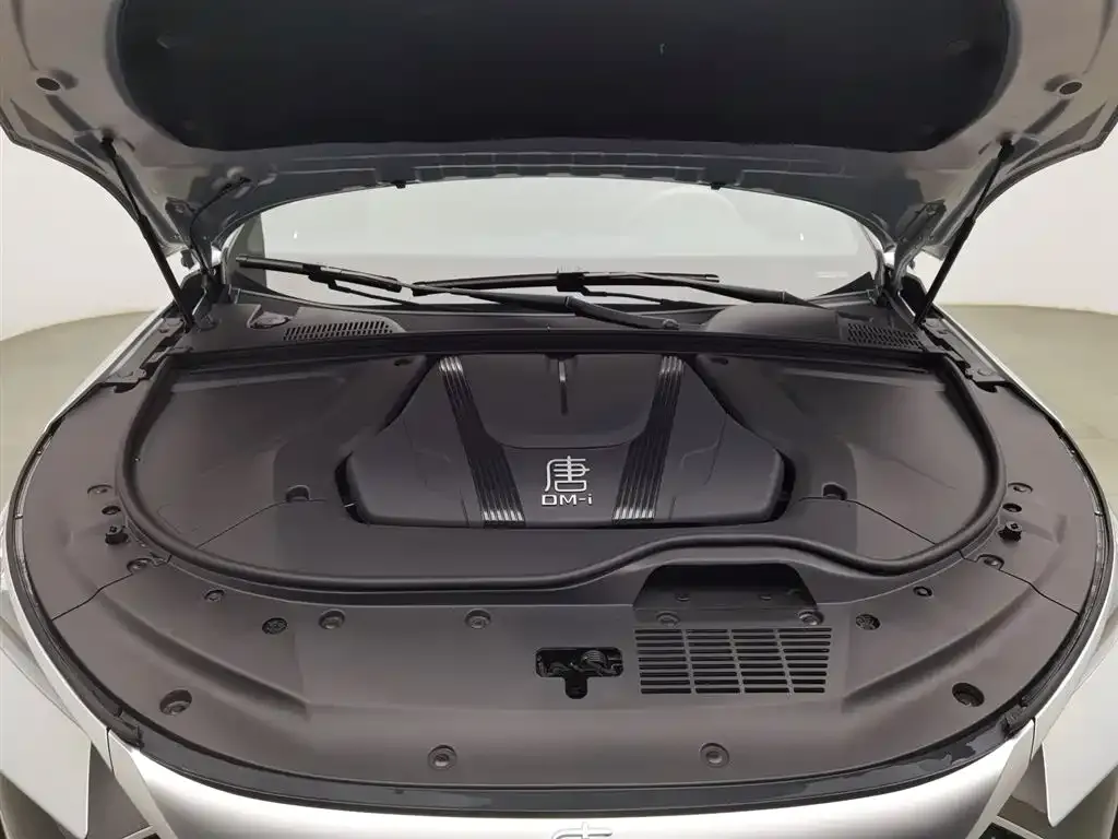 BYD Tang New Energy 2025 из CN, фото 7