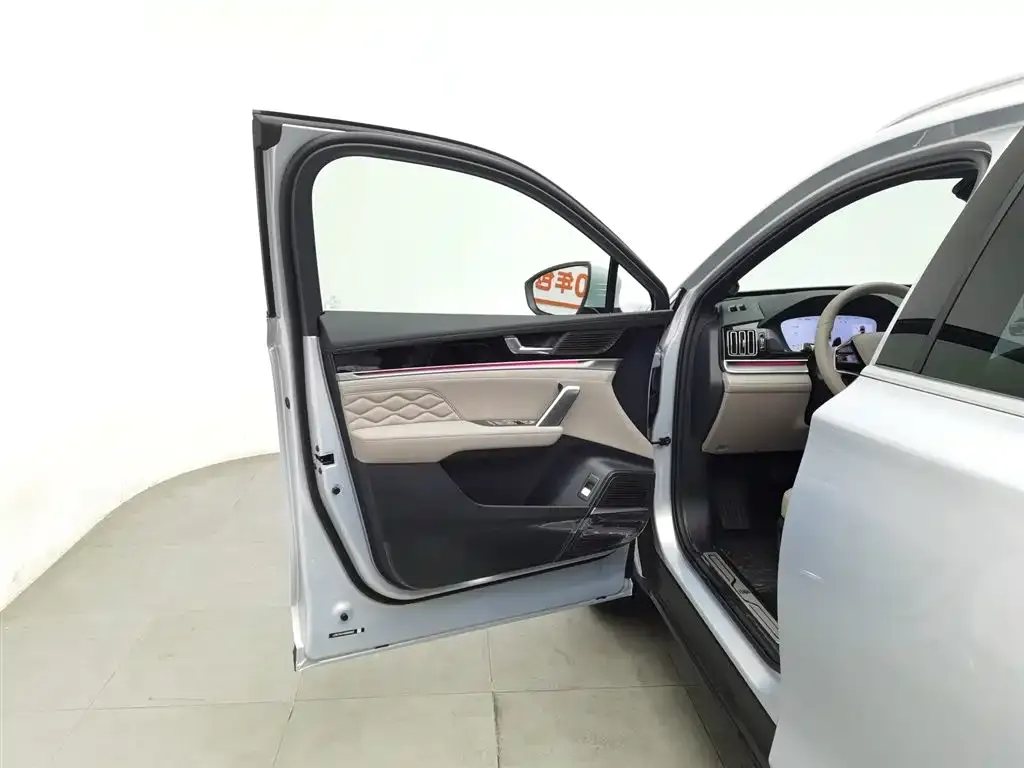 BYD Tang New Energy 2025 из CN, фото 5