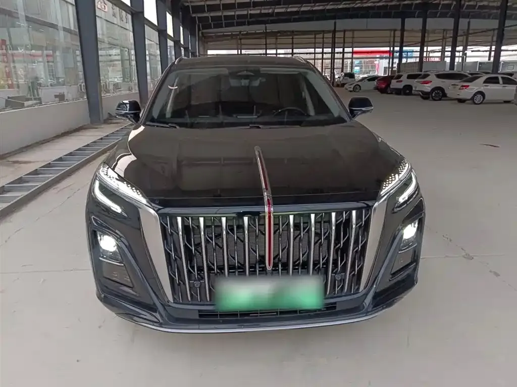 Hongqi HS3 PHEV 2025 из CN, фото 6