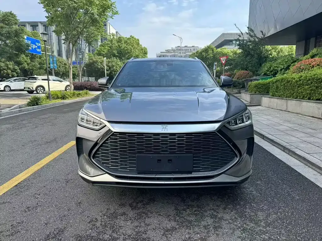 BYD PLUS New Energy 2021 из CN, фото 5