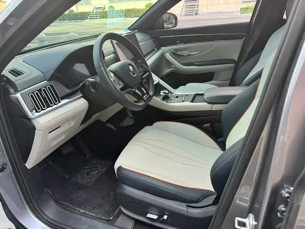 BYD PLUS New Energy 2021 из CN, фото 4