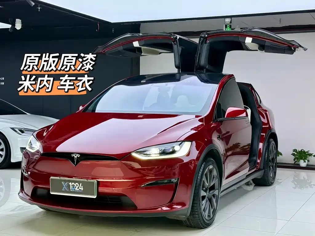 Tesla Model X 2024 из CN, фото 1