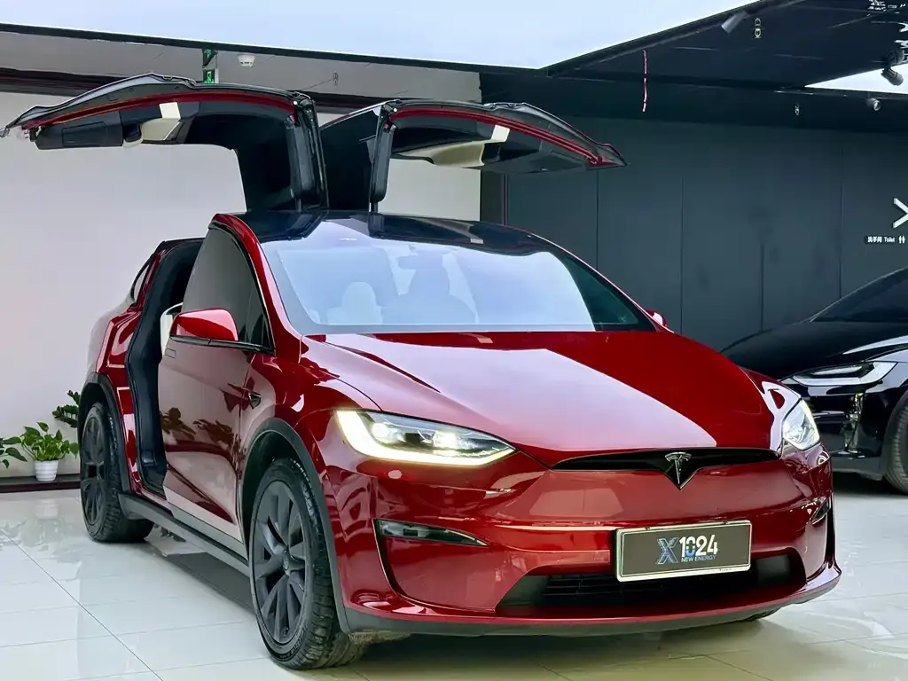 Tesla Model X 2024 из CN, фото 2