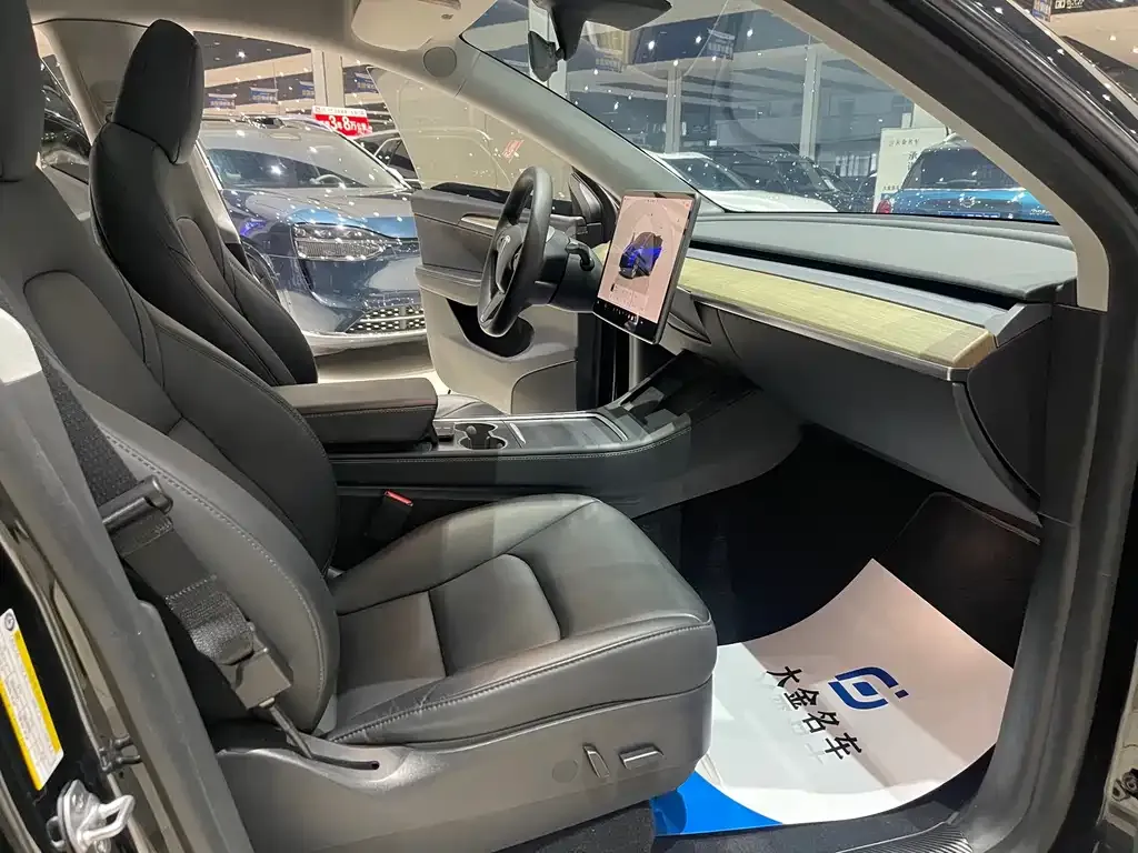 Tesla Model Y 2023 из CN, фото 5