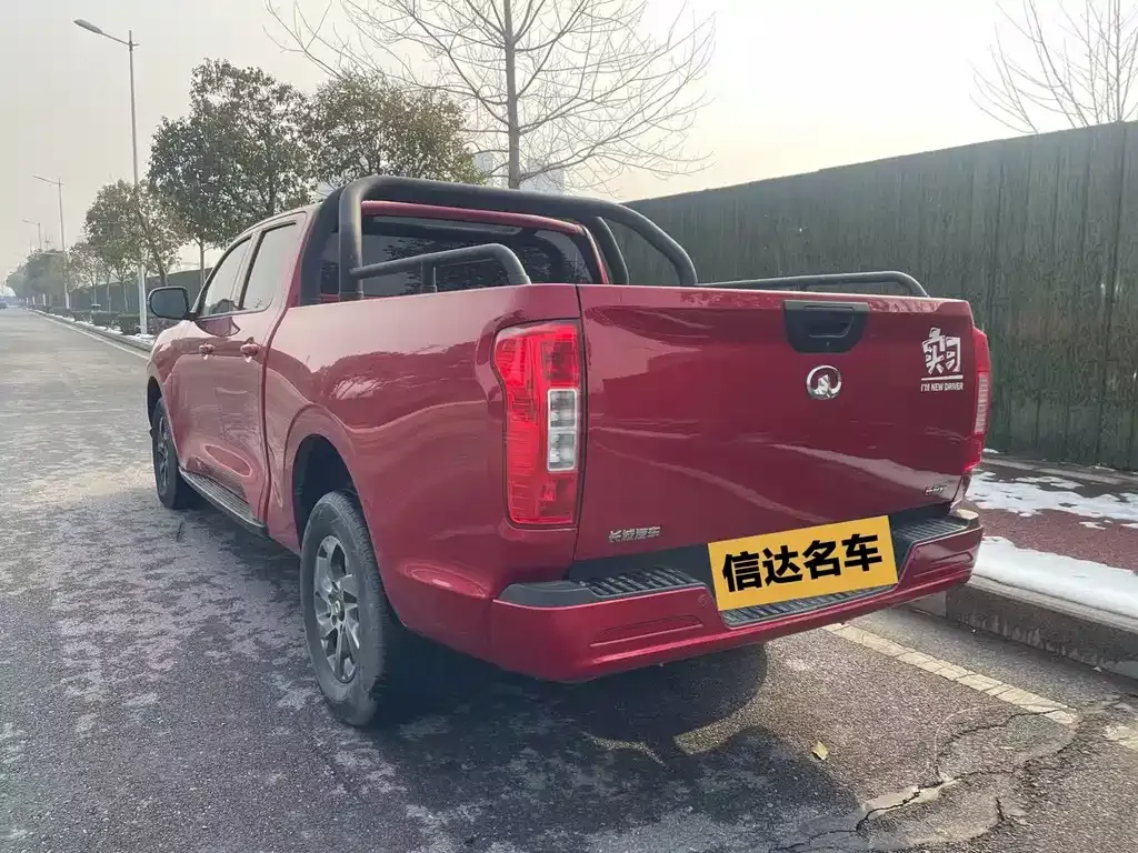 Great Wall Pao 2023 из CN, фото 7
