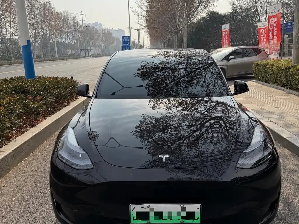 Tesla Model Y — фото 1